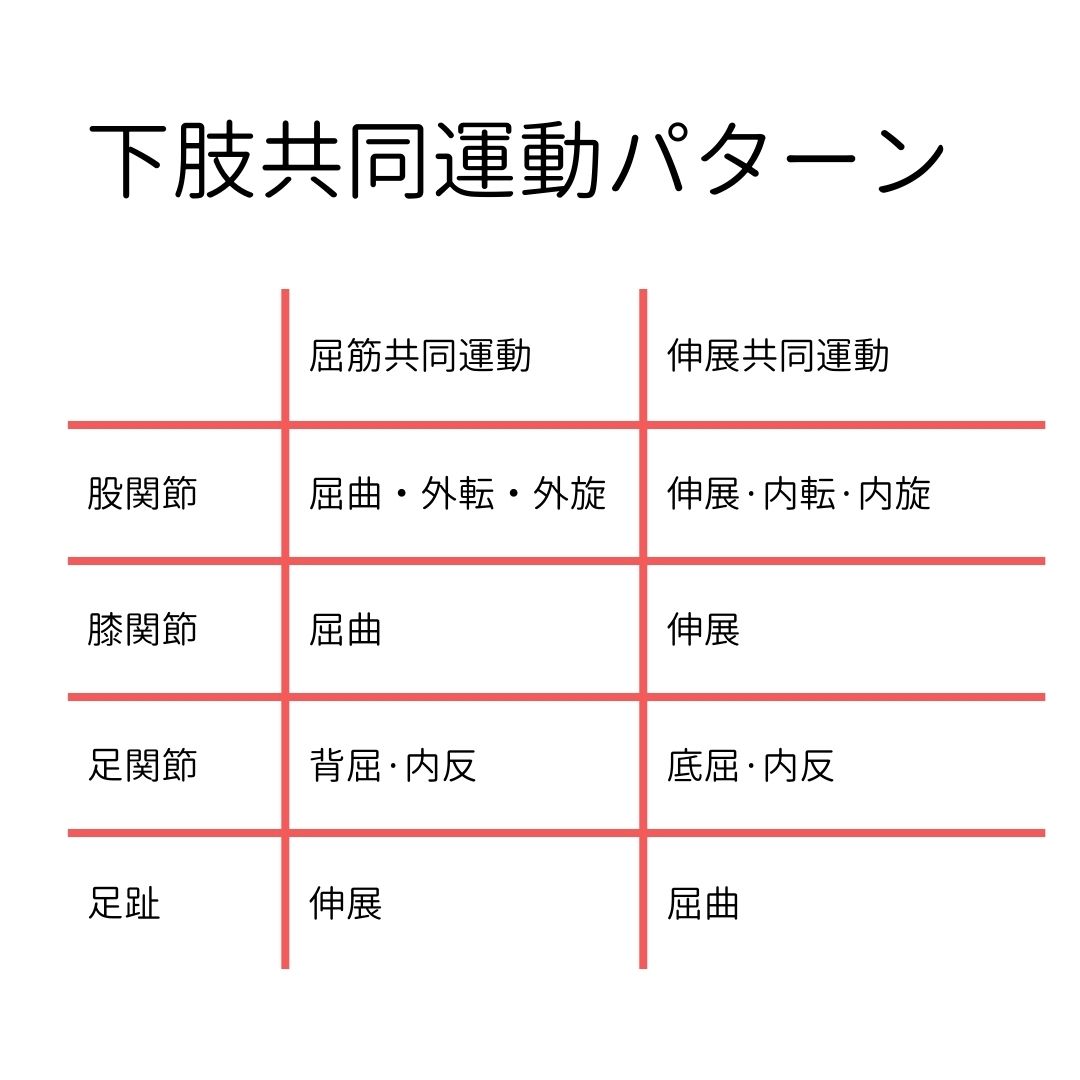 ケアプラス　訪問マッサージ　PT　ｾﾐﾅｰ　まごころベルサービス