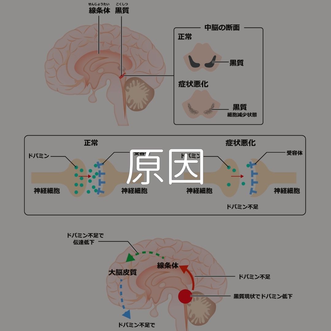 ケアプラス　訪問マッサージ　ST　ｾﾐﾅｰ　まごころベルサービス